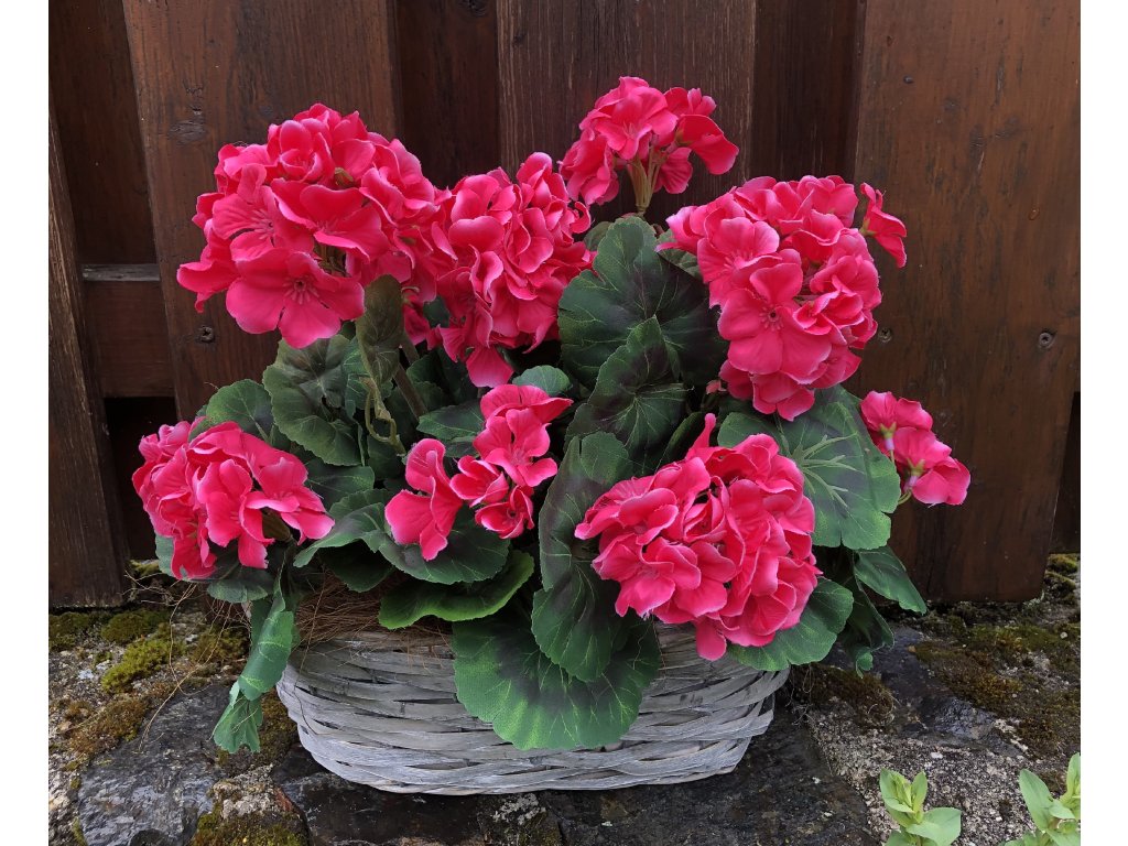 Květinářství Olšanské hřbitovy